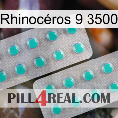 Rhinocéros 9 3500 29